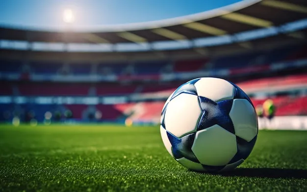 App预览-直播与数据整合